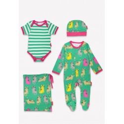 Babygrow set - ANIMALS - Toby Tiger - KITTY CATS -  Bag , Babygrow, Body Vest and Hat 