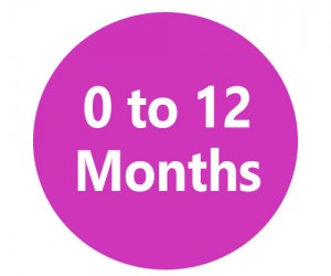 0-12 Months